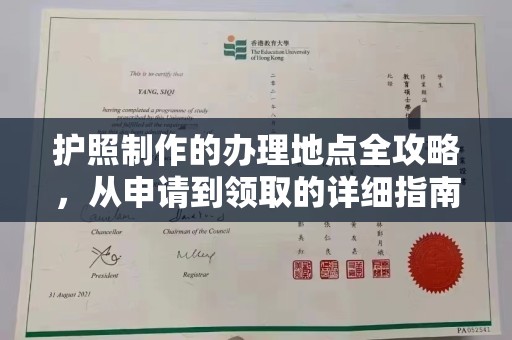 濮阳护照制作的办理地点全攻略，从申请到领取的详细指南