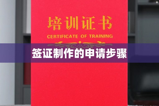 濮阳签证制作的申请步骤