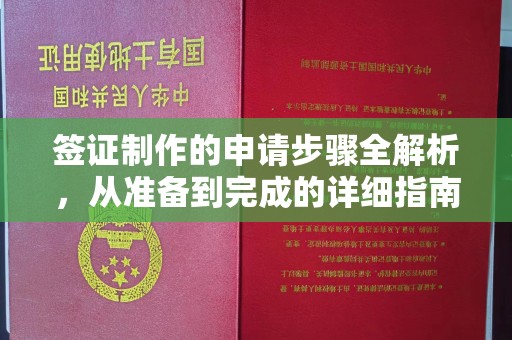 濮阳签证制作的申请步骤全解析，从准备到完成的详细指南