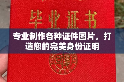 濮阳专业制作各种证件图片，打造您的完美身份证明