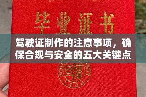 濮阳驾驶证制作的注意事项，确保合规与安全的五大关键点